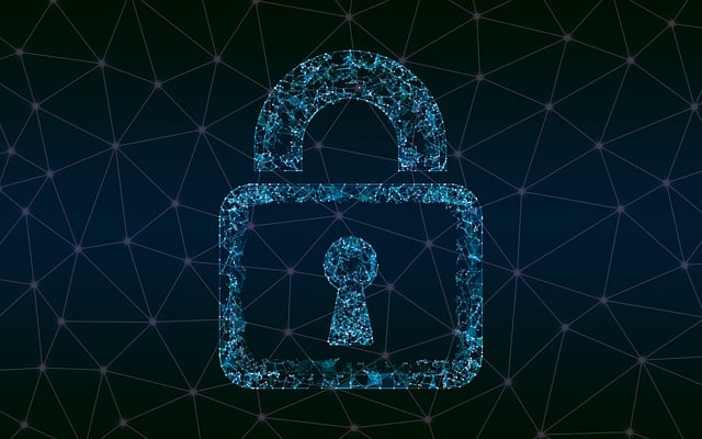 https://airpak.com.hn/wp-content/uploads/sites/5/2025/05/security-4868172_640.jpg